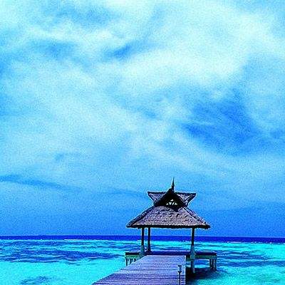 半岛5.0下载官网截图