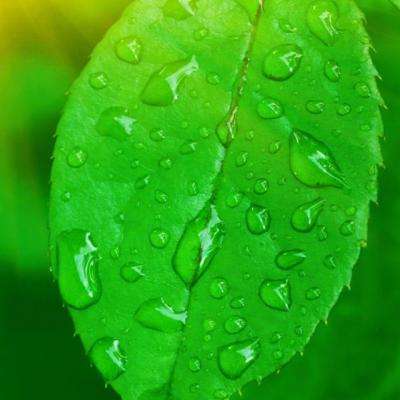 威尼斯澳门人下载手机版